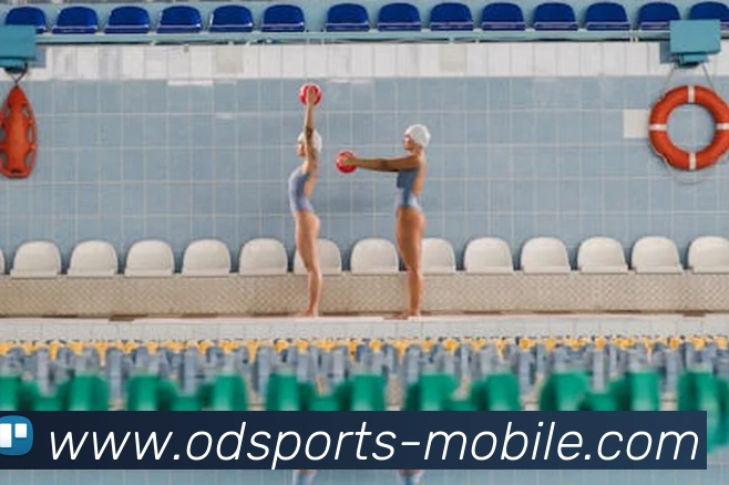 平台使命图